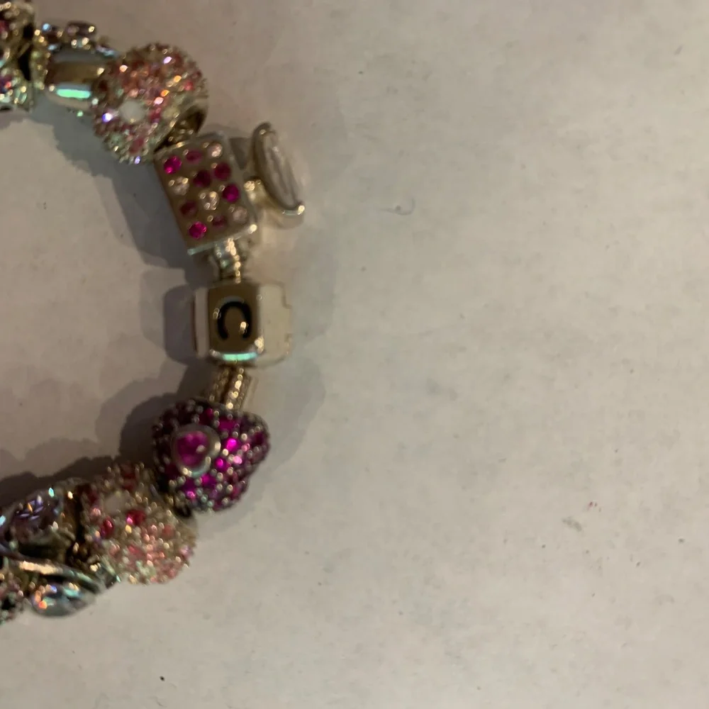 Chamilia 8 inch Silver Charm Bracelet with 25 charms